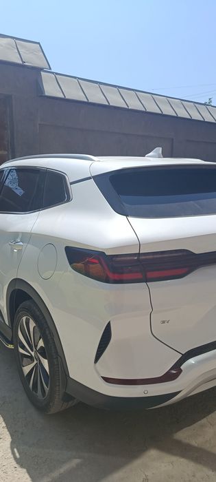byd chempion 2024