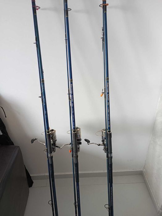 Въдици за шаран, сом