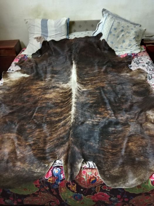 Продае́тся шкура медведя