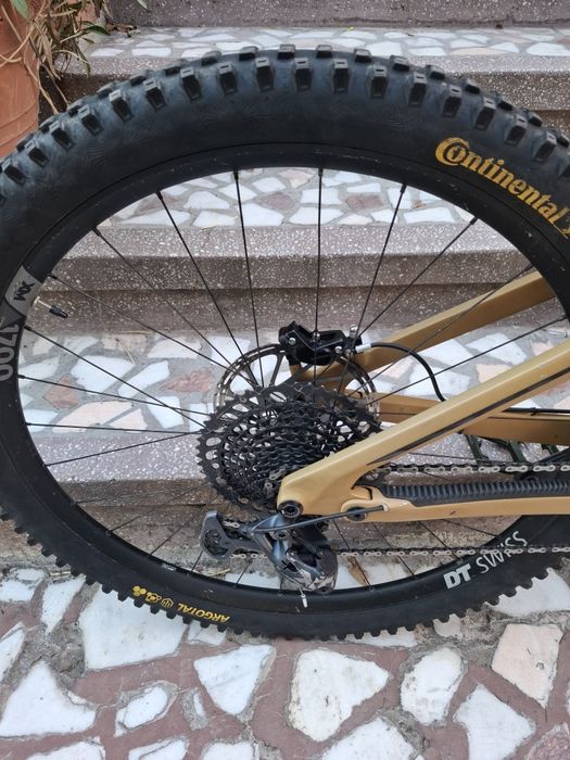 Transition Sentinel Carbon