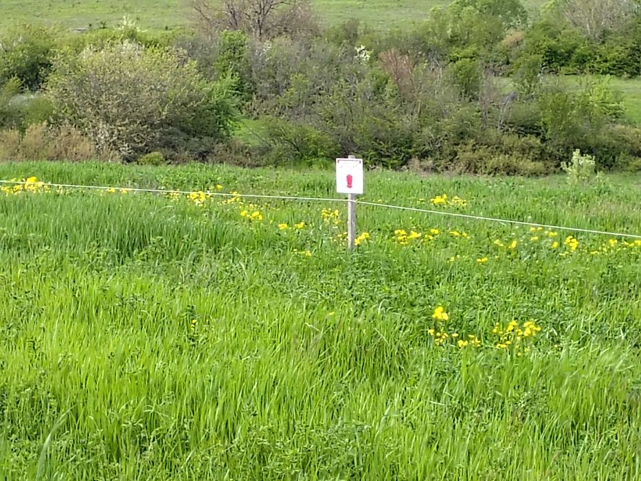 Продава се Земеделски имот в Дебелец -  кв.м за 7 €/дка - Снимка #7