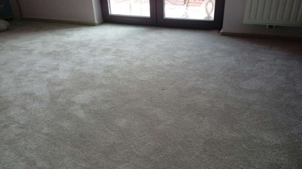 montez mocheta/ montaj mocheta