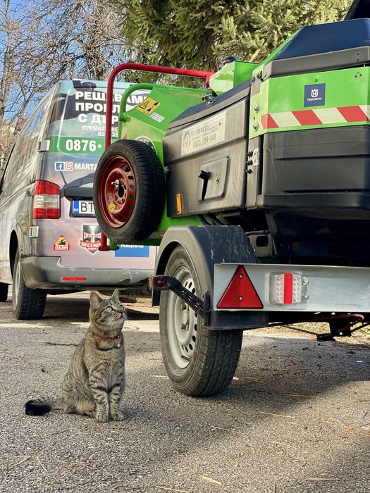 Премахване на опасни дървета, арборист, кастрене, рязане, клони