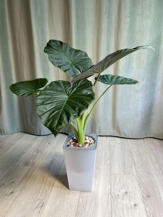 Горшок для растений