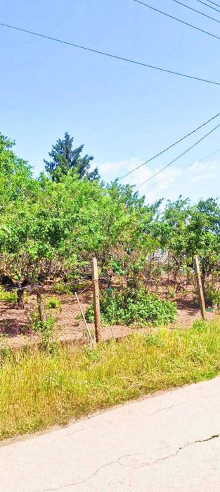 Продава се Къща в с. Могилище, Област Добрич - 60 кв.м за 1084 €/кв.м - Снимка #7