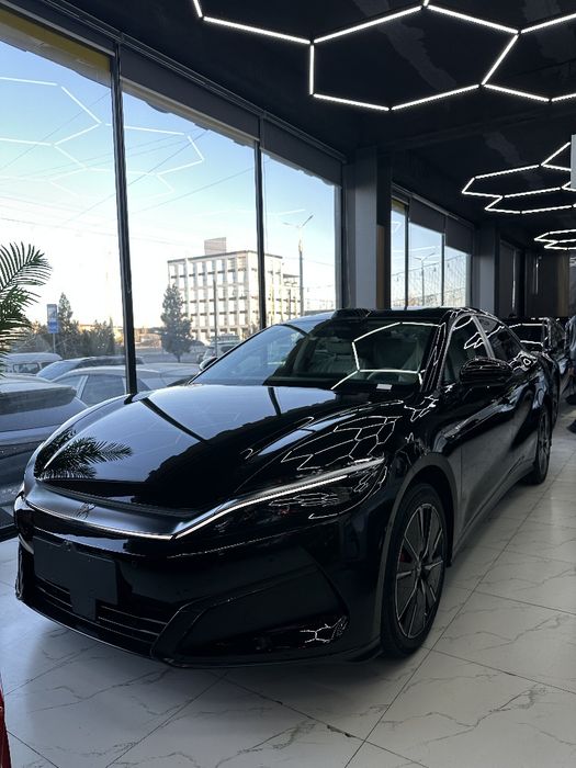 BYD xan L 1ta matorlik