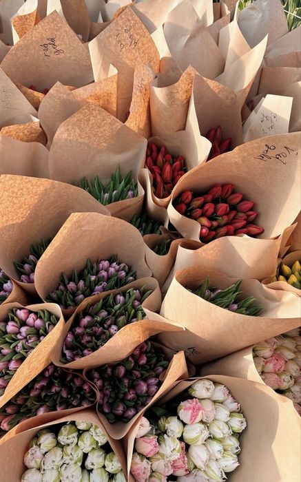 Тюльпан 50-60 см