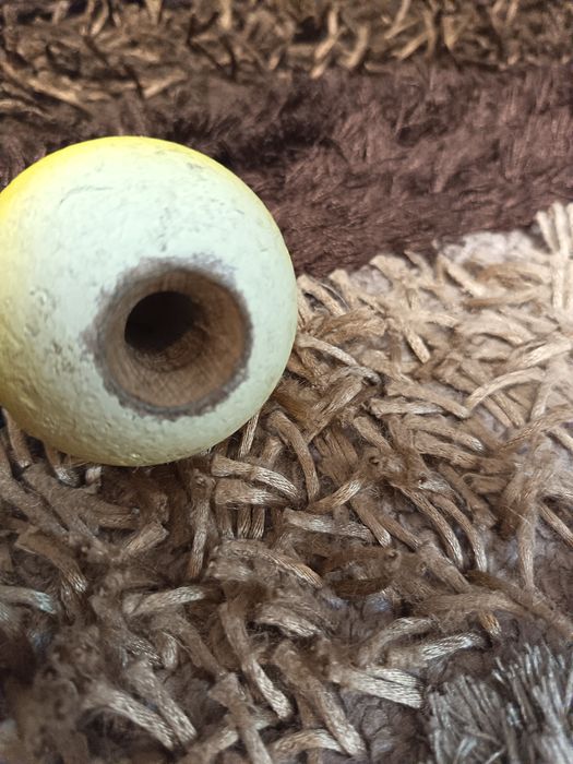 Kendama  bună de folotit
