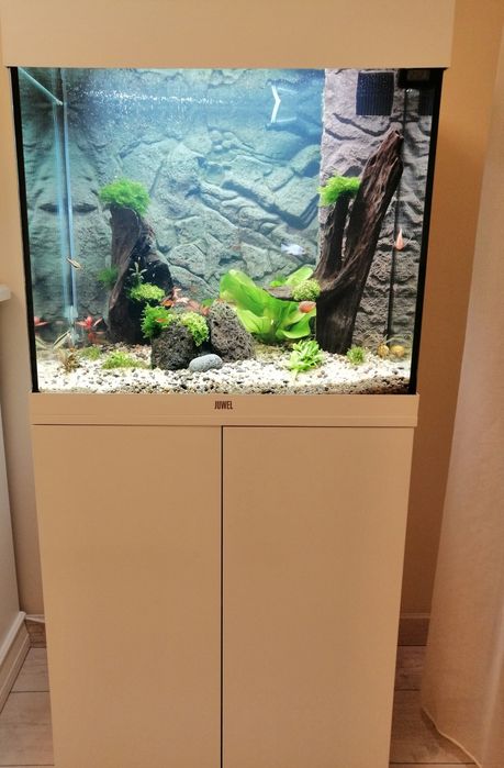 Acvariu Juwel Lido 120L+dulap+Lampa Edge dimabila