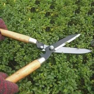 Ножницы для изгороды