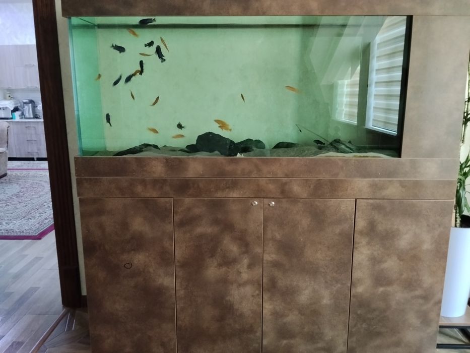 Аквариум 15мм стекло 180х70х55