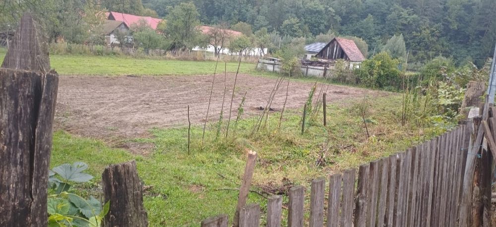 Vând teren intravilan Sinca Noua