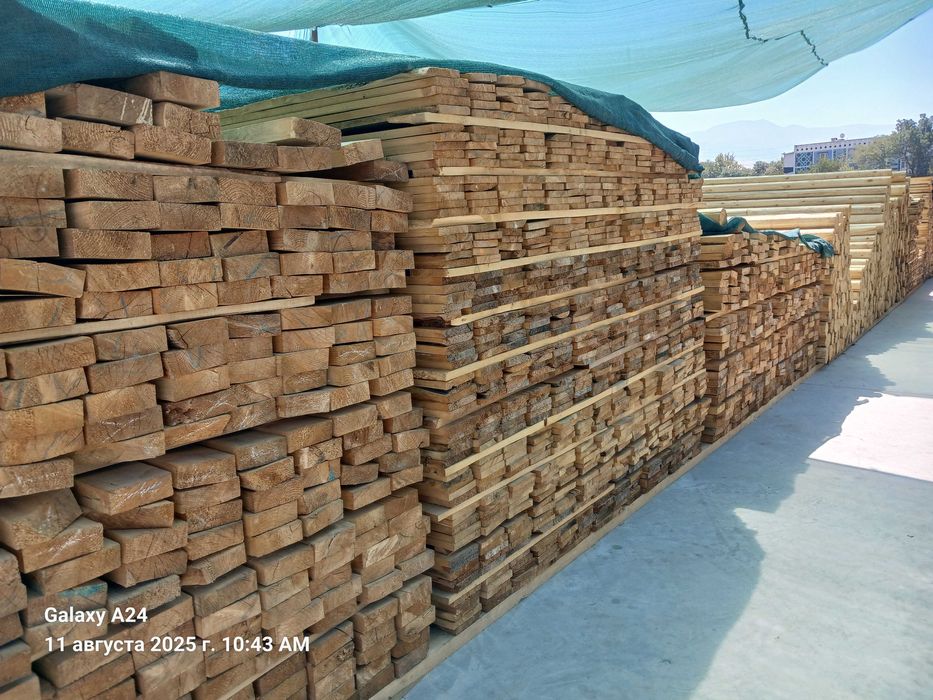 Taxta , Sasna Yog'ochi