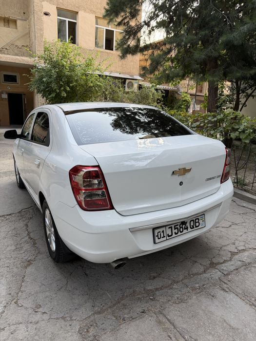 Cobat AT 2021 holat zo’r