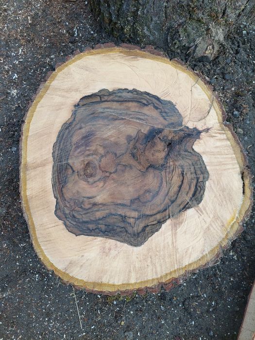 Blaturi, felii brute nuc