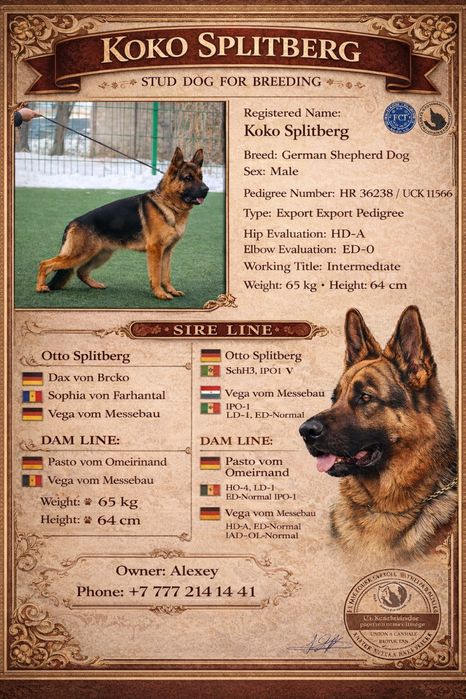 Вязка с элитным кобелем