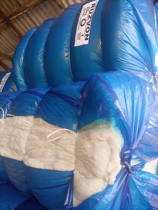 Пахта у́птум пахта завотдан бринчи