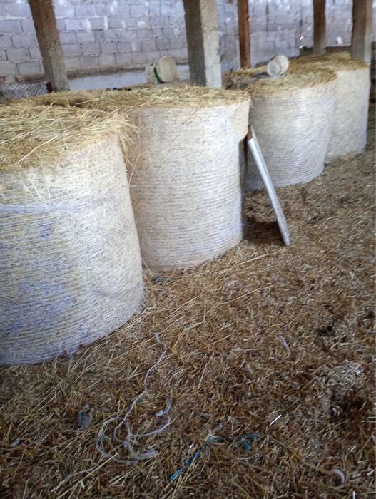 Рулонни бали