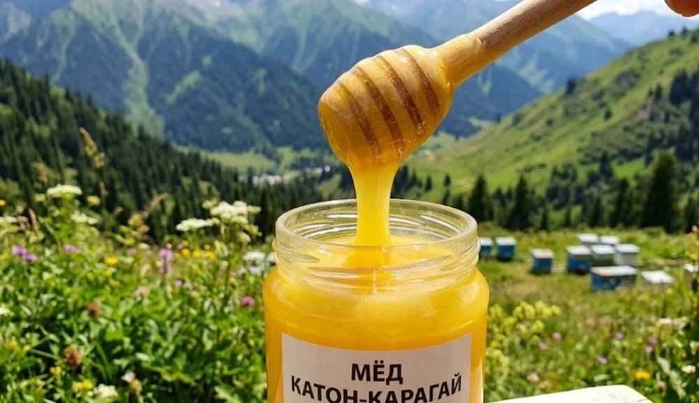 Свежий мёд  Катон-Карагай 2026г.