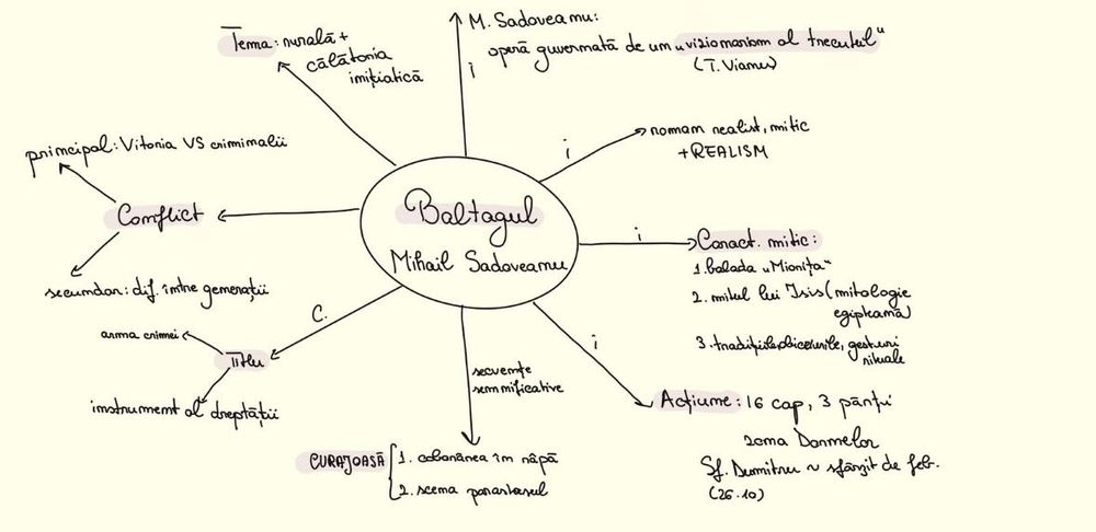 Meditatii Bacalaureat Limba Romana