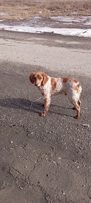 Уштобе Охотниши.