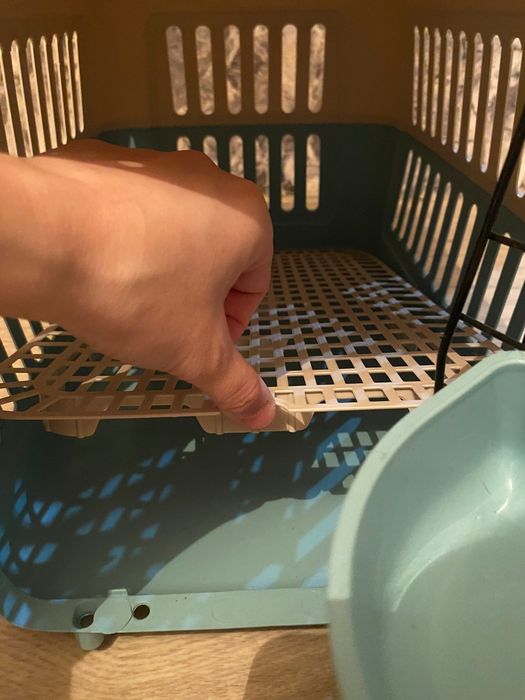 Новая переноска бокс