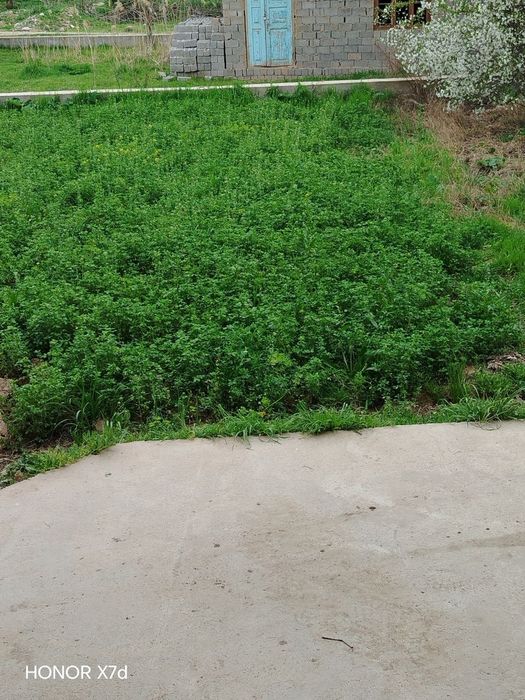 Yer sotiladi , yaxshi joydan