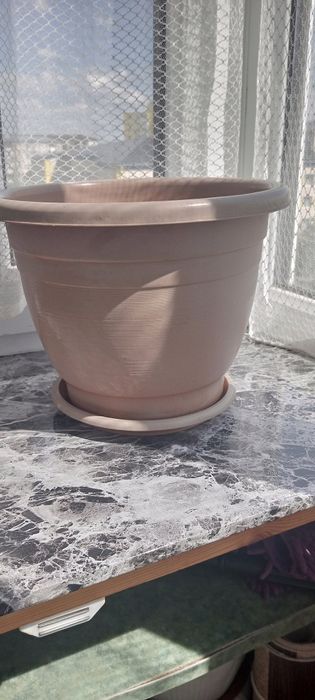 Продам цветочные гошки