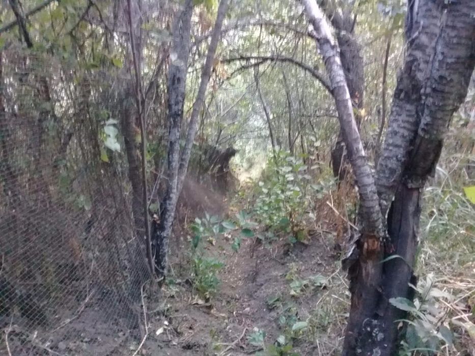 Продам дачу в горах