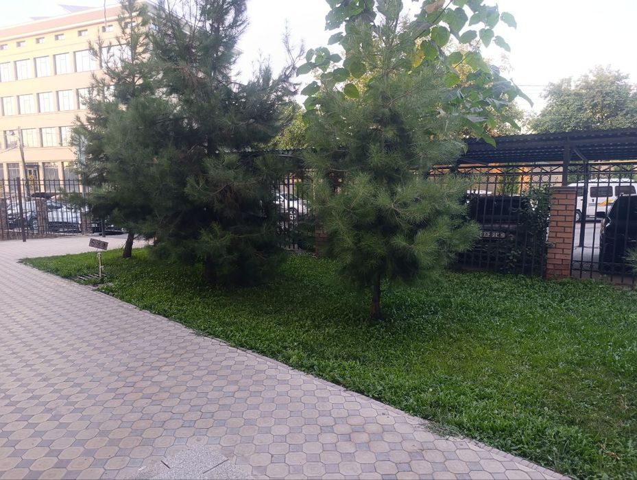 Евро, Центр, Срочно, мебель+техника!