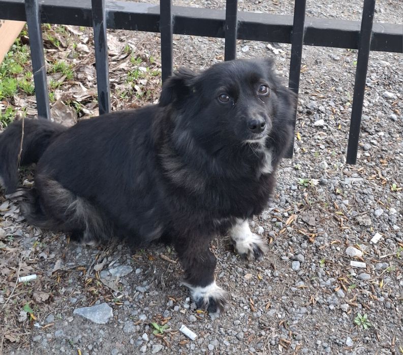 Маленькая очаровашка и её мама