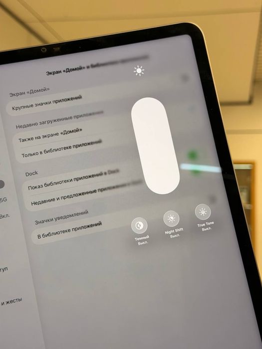 iPad Pro 12.9” | 6-gen | 256 GB