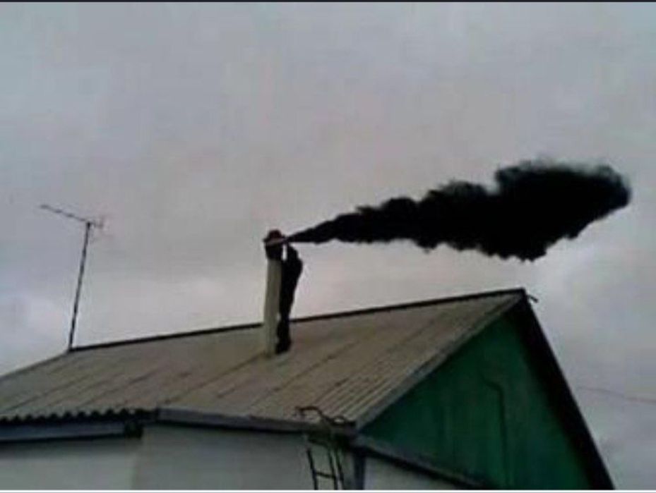 Mori tozalash xizmati