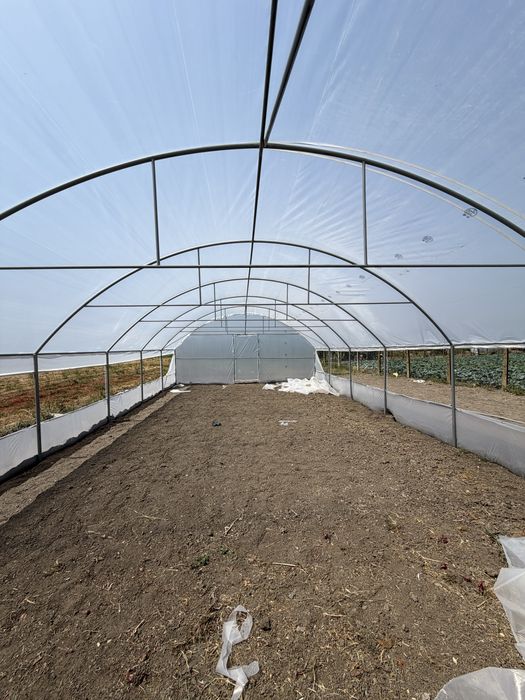 Sere solarii Flori Legume Solar