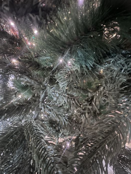 Елка 2,3м в Косшы