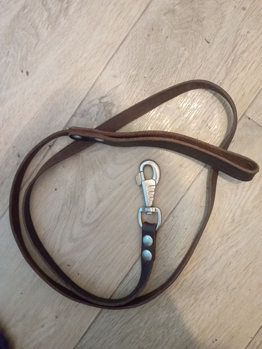 Интерактивная миска для собак(поводок, спрей)