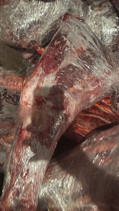 Колбасное мясо оптом, 20 тонн.