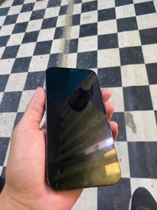 iPhone 12 Pro Max