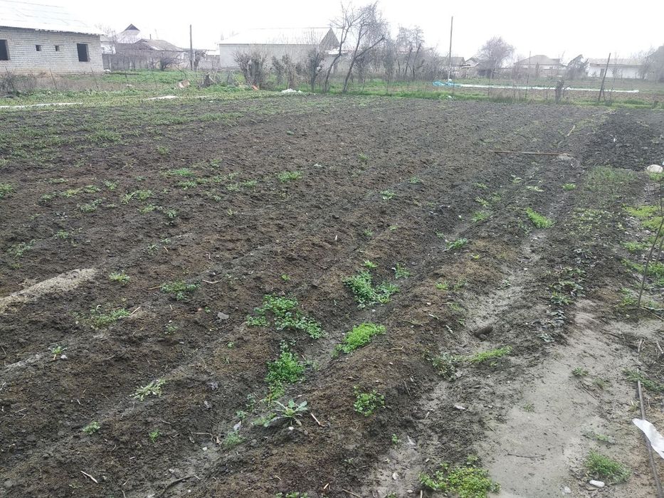 Yer sotiladi To'y tepa qora suv 6 sotix