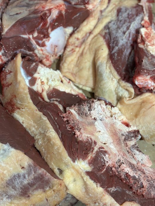 Говядина мясо ет қашар сиыр күздік