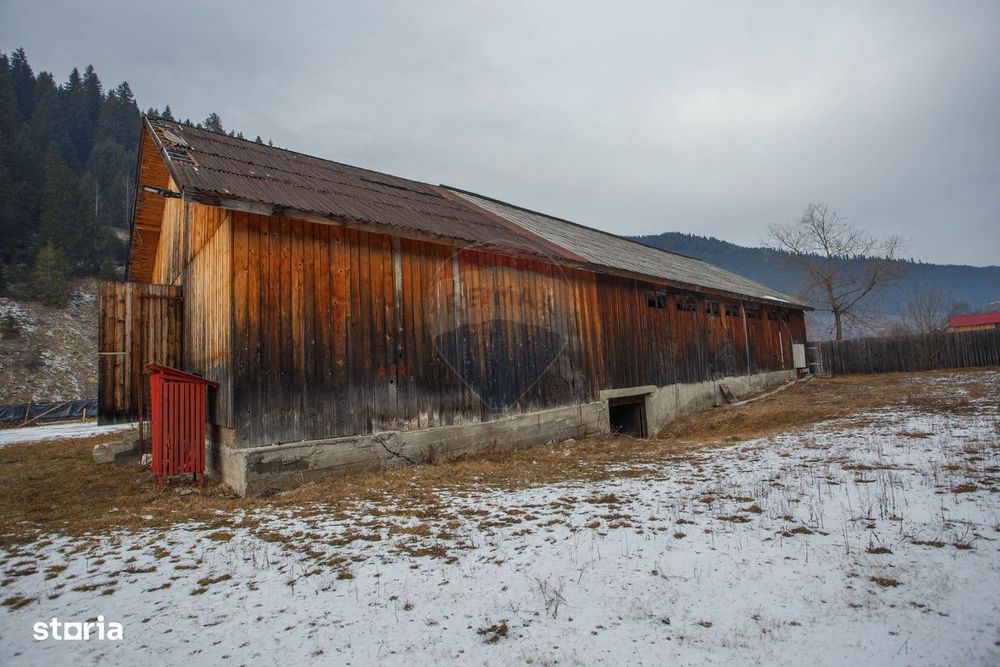 De vanzare| Hala industriala + teren, post trafo propriu, Borca, Neamt