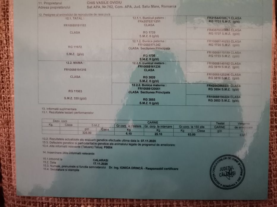 Berbeci Ile de France rasa de carne cu pedigree,certificat.