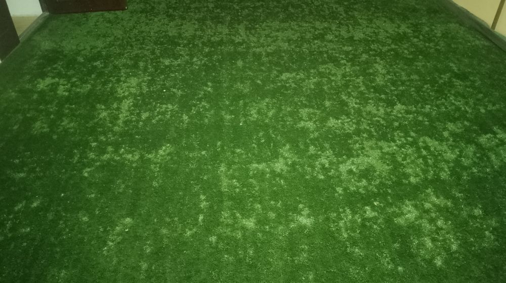 Газон холати янги