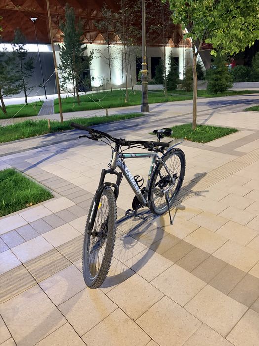 Cruzer Horizon велик