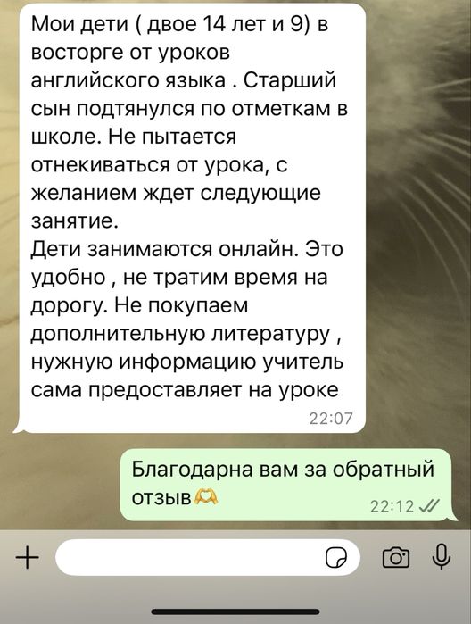 Репетитор Английского языка