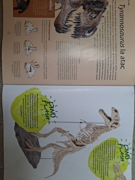 Dinozaur cu piese pentru schelet și  piele