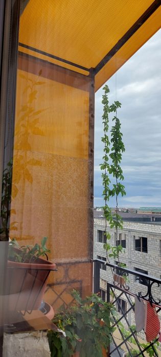 Продаётся квартира в ЖК Нурсая Парк