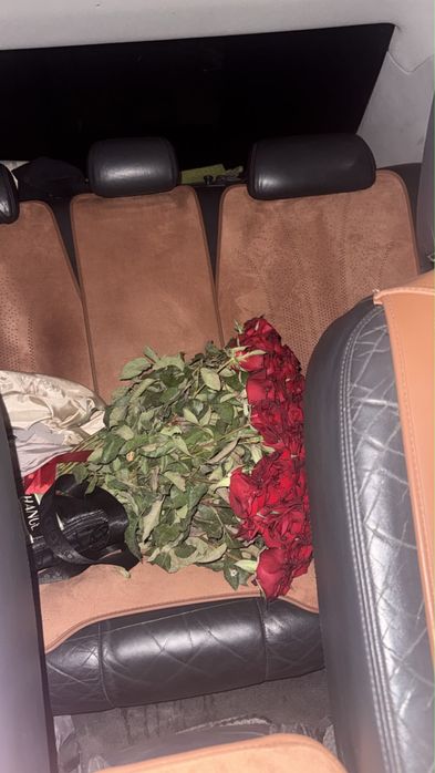 роза кешке келген свежыый