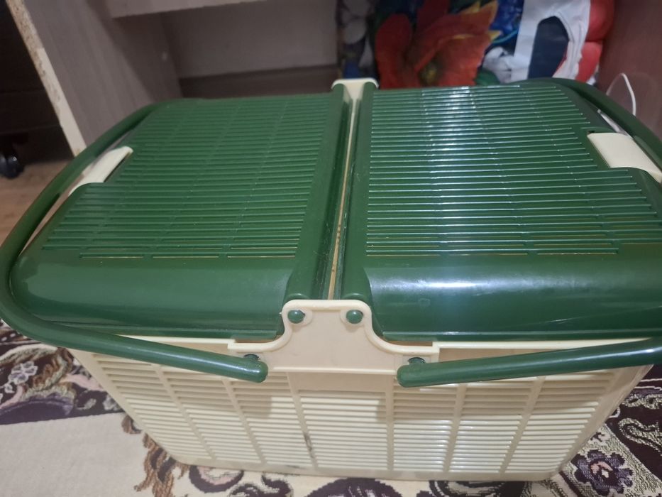 Мысык сатылады 10000