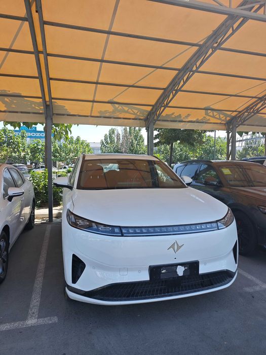 Dongfeng 008 Elektr B.U.